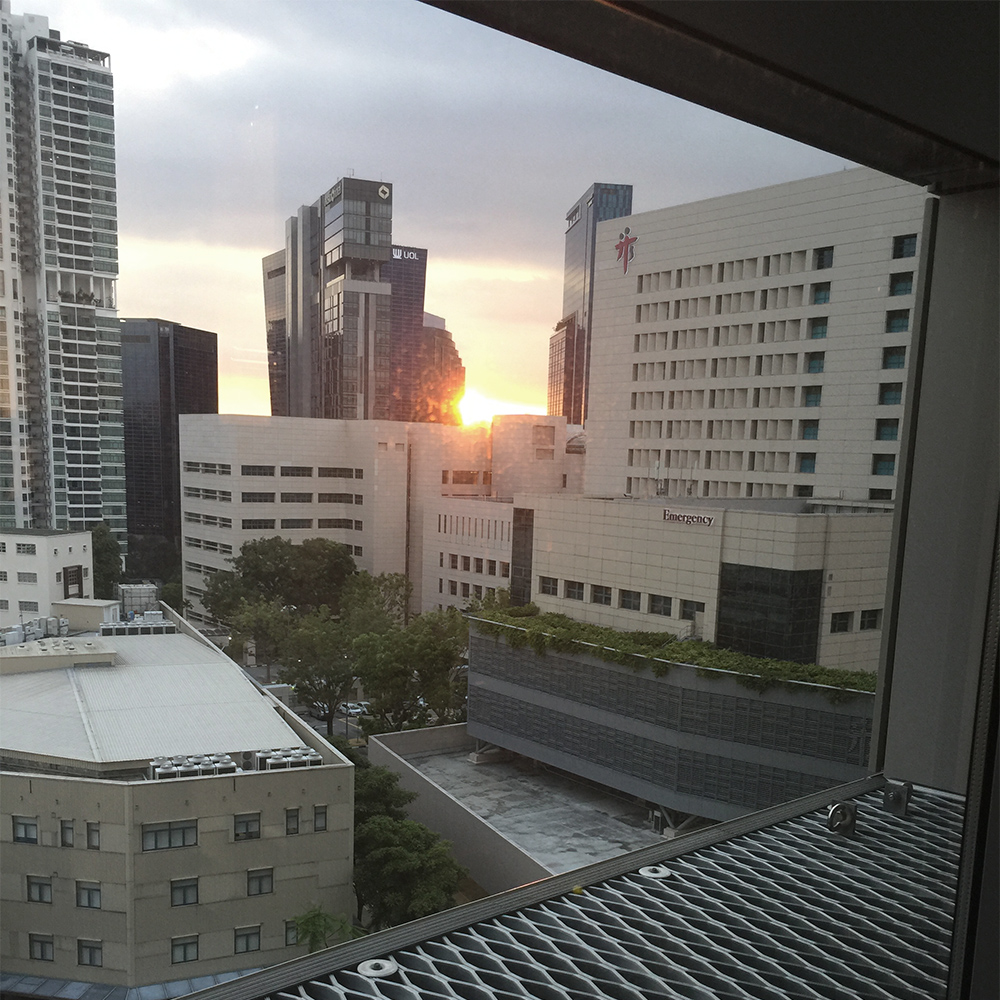 The view of the rising and setting sun from my NCID room. Photo: Wai Ching.